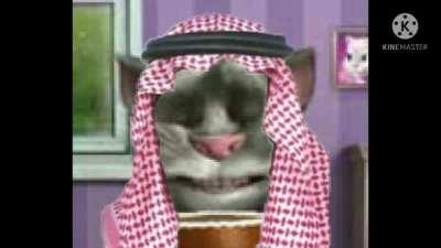 من فضلك قل لي أنك وجدت هذا حبيبي مضحك ، أريد فقط الاهتمام😭