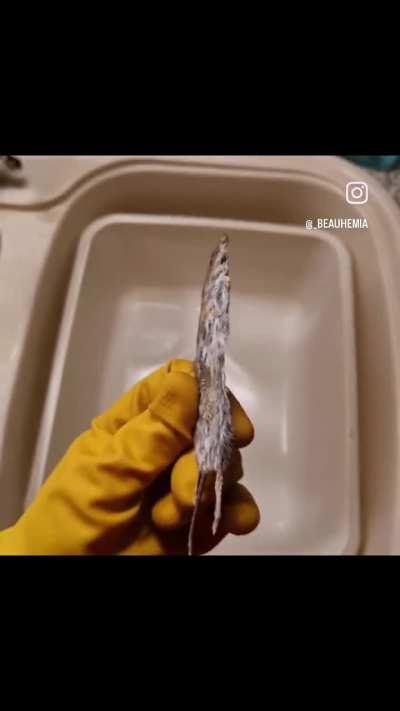 哪位穴友变二次元了