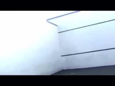 Throw your tennis ball