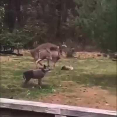 When you break her off a lil somethin