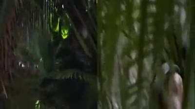 I'd watch this, I'd watch the horned rat out of this.