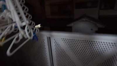 This person living across the street decided to become a rockstar tonight.