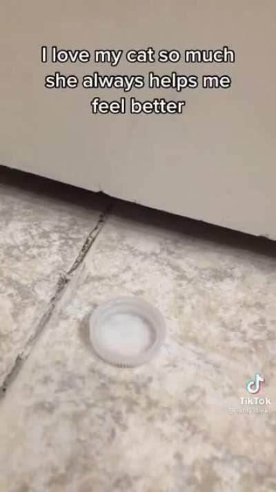 Pets always seem to know when you’re upset