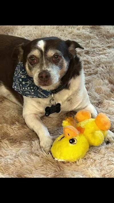 Rattie Recap 2024: Remembering our Ratties