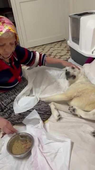 An image from Turkey. A woman who cares for her disabled dog with maternal affection
