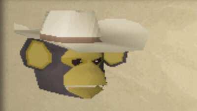 I Should Have Been A Cowboy!