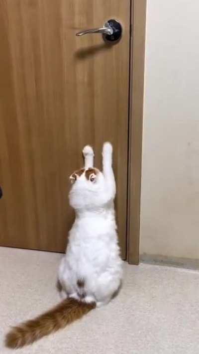 What kind of ritual is this?