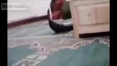 What they really think? Religion of peace.