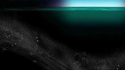 The world's largest synchronous migration takes place every day, called the Diel Vertical Migration. Aquatic species of lakes and oceans travel vertically from the depths to the photic zone as the sunlight dissipates throughout the night.