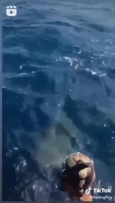 [Not my OC] Today it's gonna be a nice day to do some snorkel or maybe not.