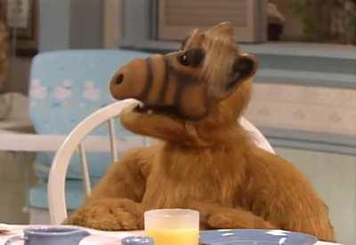 How the average WSB trader actually pick their stock choices