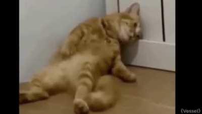 @bags be a psycho that kills women and people will idolize you