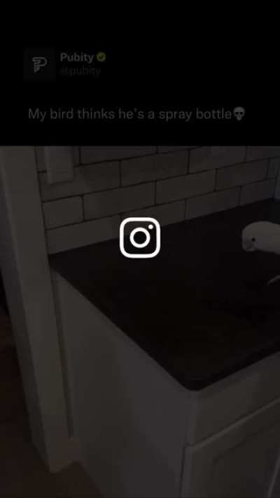 the humble spray wunkus: