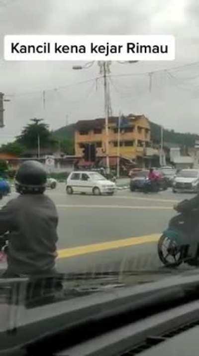 Christopher Nolan's Tenet in real life: