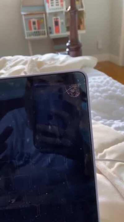 Cat chewing at your laptop? Don't fret, Film it for the views!