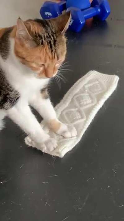 Morning workout routine