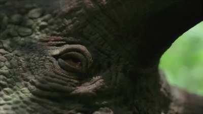 As much as I'd love to see this unit of a Rex rend dinosaurs to red ruin, I can't help but respect Prehistoric Planet for showing us a more nuanced approach to the Tyrant King.