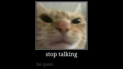 Stop Talking.