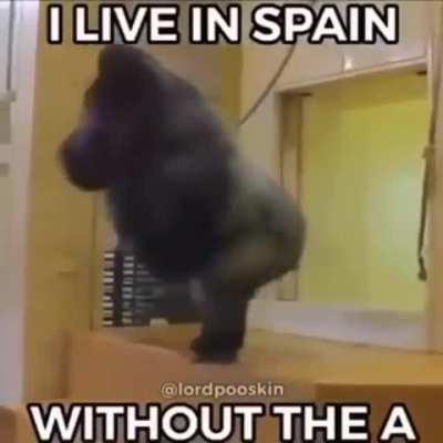 realmente vivimos en una sociedad... 😔🤟