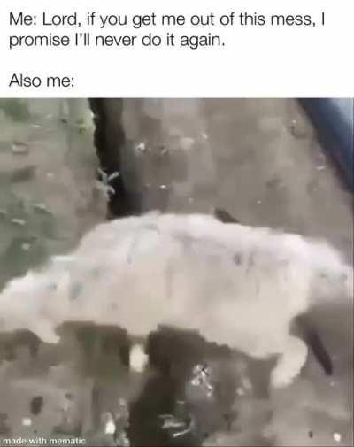 We live in a fallen world