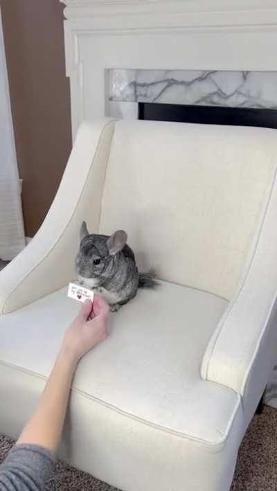 Do you want to be my Valentine? ❤️