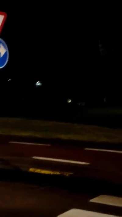 Wolf spotted op 30 december in the Haasrode research park, going in the direction of Heverleebos