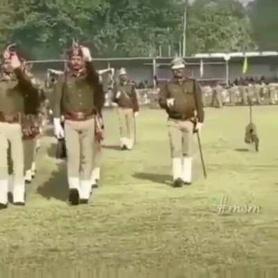 Monkey being a monkey