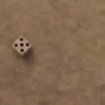 wish I could have the same luck