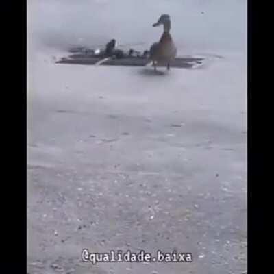 No se porque me da risa