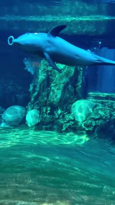 The last water bender