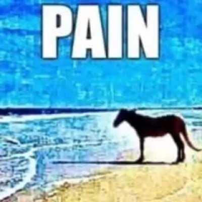 Pain.