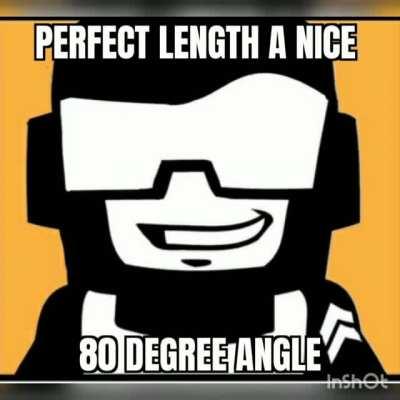 POV:Tankmen inspecting your cock