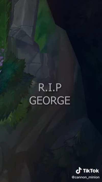 R.I.P George The Suicidal Frog