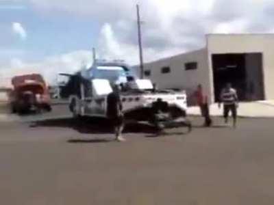 Mmmm dead or veggie?