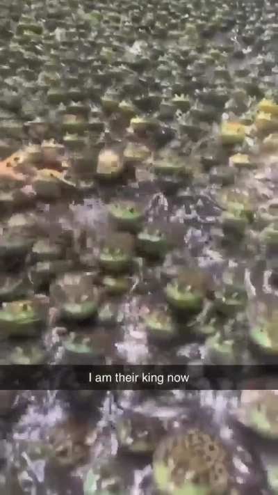 Daily (possibly reposted) shitpost #636