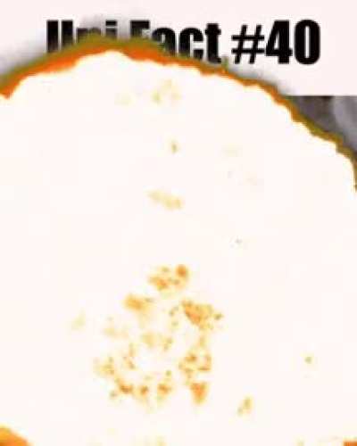 bib bobobs fact s! !1!1!!!1!!