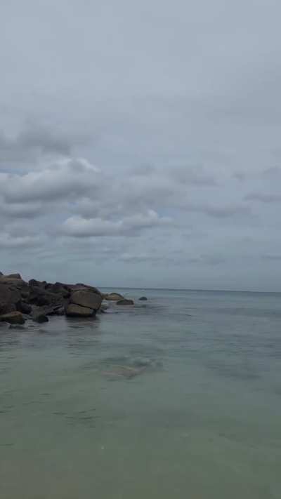 Elegant Beautiful Bianca Elousie Being Extra Cheeky