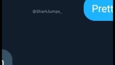 The whole FBI is going to jail