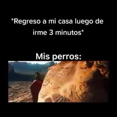 Up-vote para que el Moai lo vea y si lo ve hago rifa de un cohete ruso