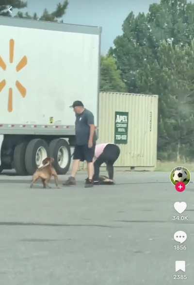 Bear spray does not stop them