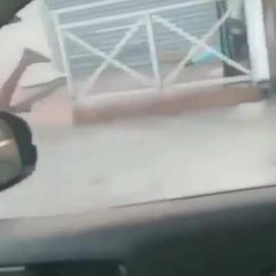 Em chuva de bananeira eu planto pau 😎👍