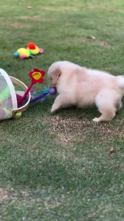 It’s time to play 🥰