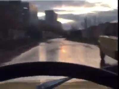 Стил Д.Р.Е 🐶