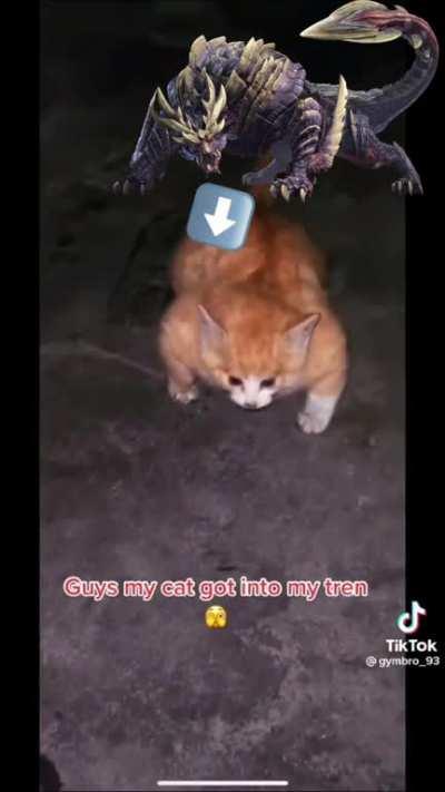 i made this while sleep deprived