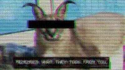 Reject modern bingus return to traditional floppa