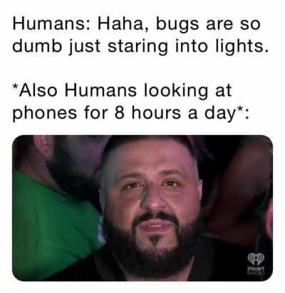 Like A Deer In The Headlights