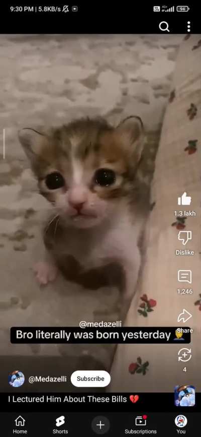 Lil cat is late for neet prep🥺