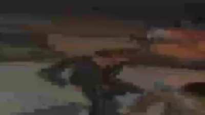 kill all son'sa bitches, that's my official instruction