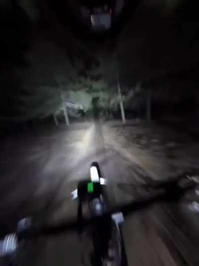 А вы бы в какое по счету дерево въебалися?