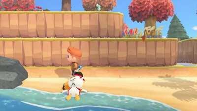 Never a dull moment on the island.